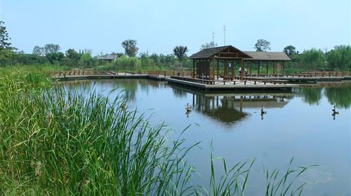 國慶樂游 上海出發(fā)，千燈古鎮(zhèn)與大唐生態(tài)園一日探幽之旅