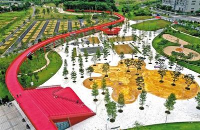 綠網(wǎng)織城，公園筑夢(mèng) 260座公園星羅棋布，繪就生態(tài)光明新畫卷